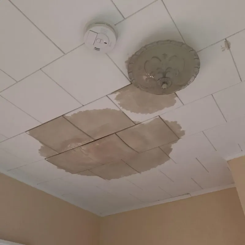 Ceiling Water Damage Repair in North Muskegon, MI