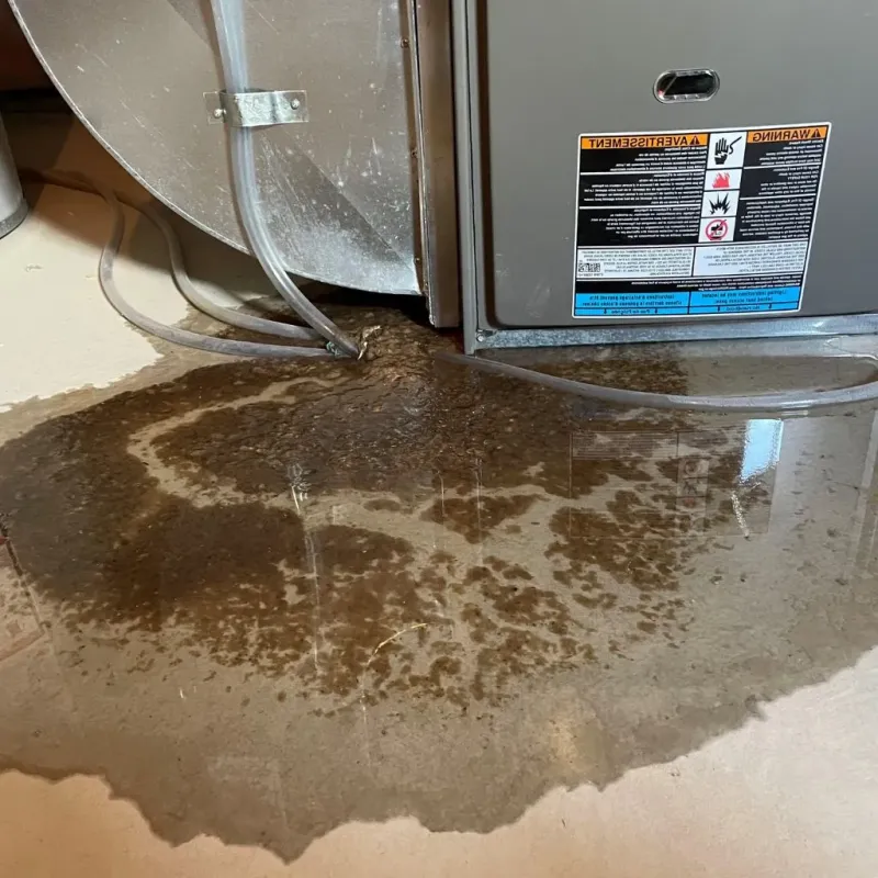 Pipe Burst and Leak Restoration in North Muskegon, MI